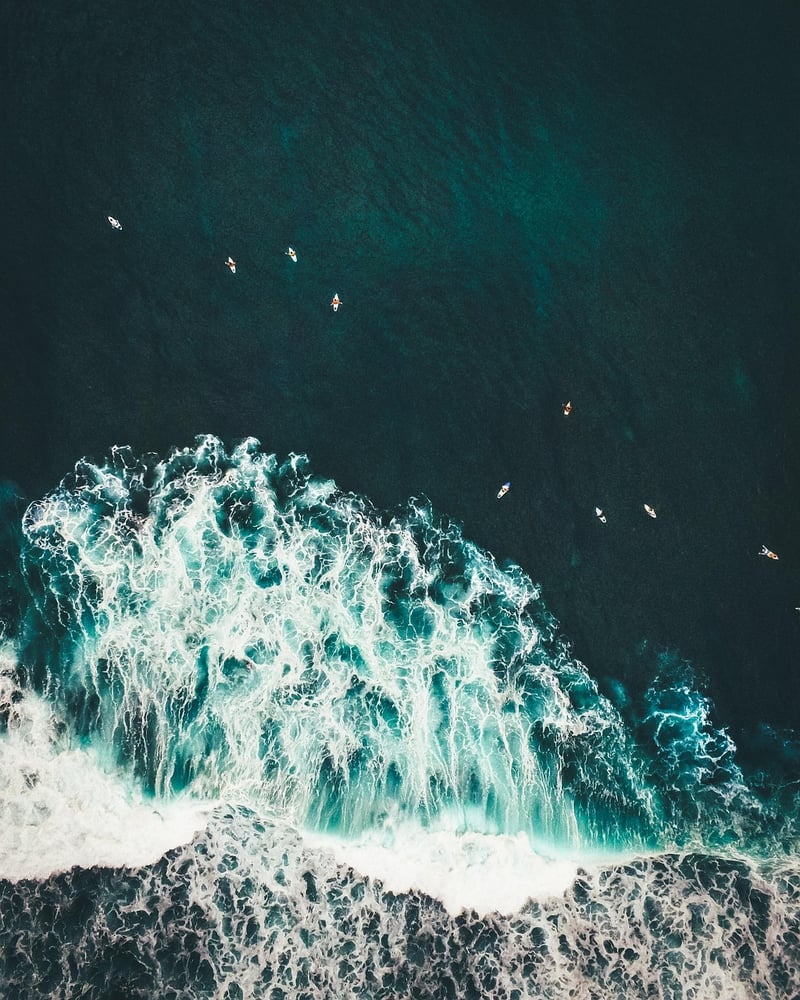 Beach Activities